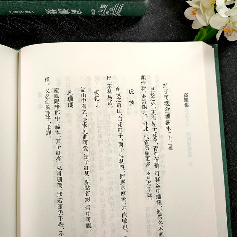 1651243169832449.jpg