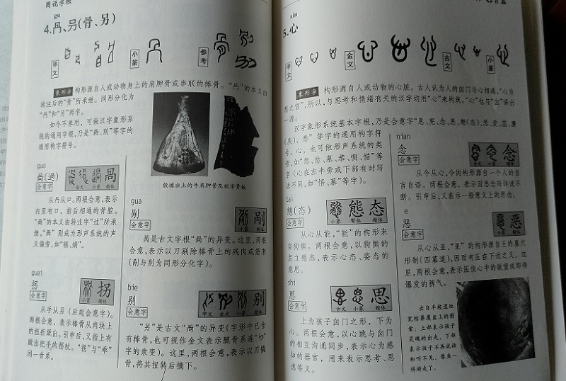 1652098169858574.jpg