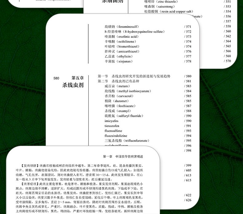 1656469228842860.jpg