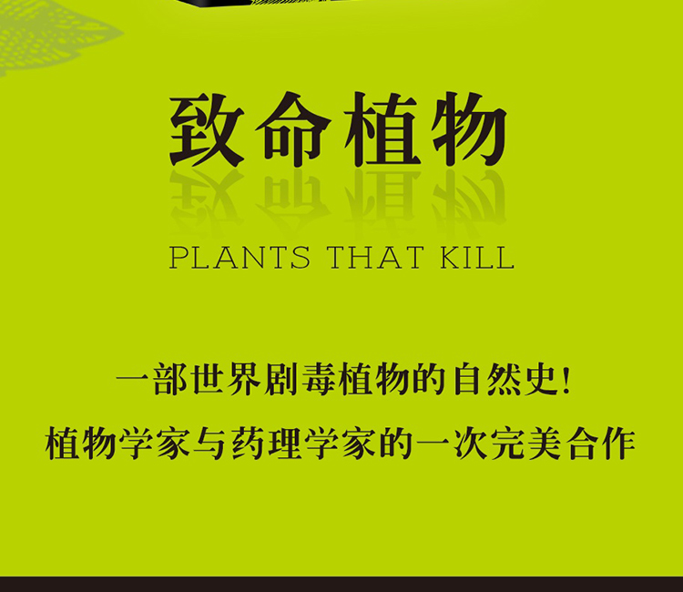 1667362487769639.jpg