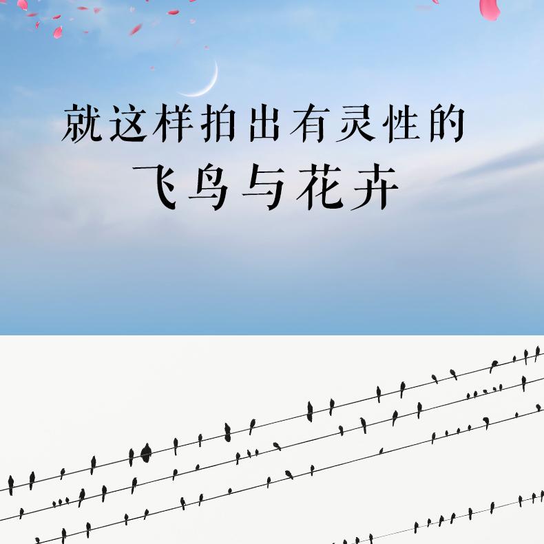 1687748102450725.jpg