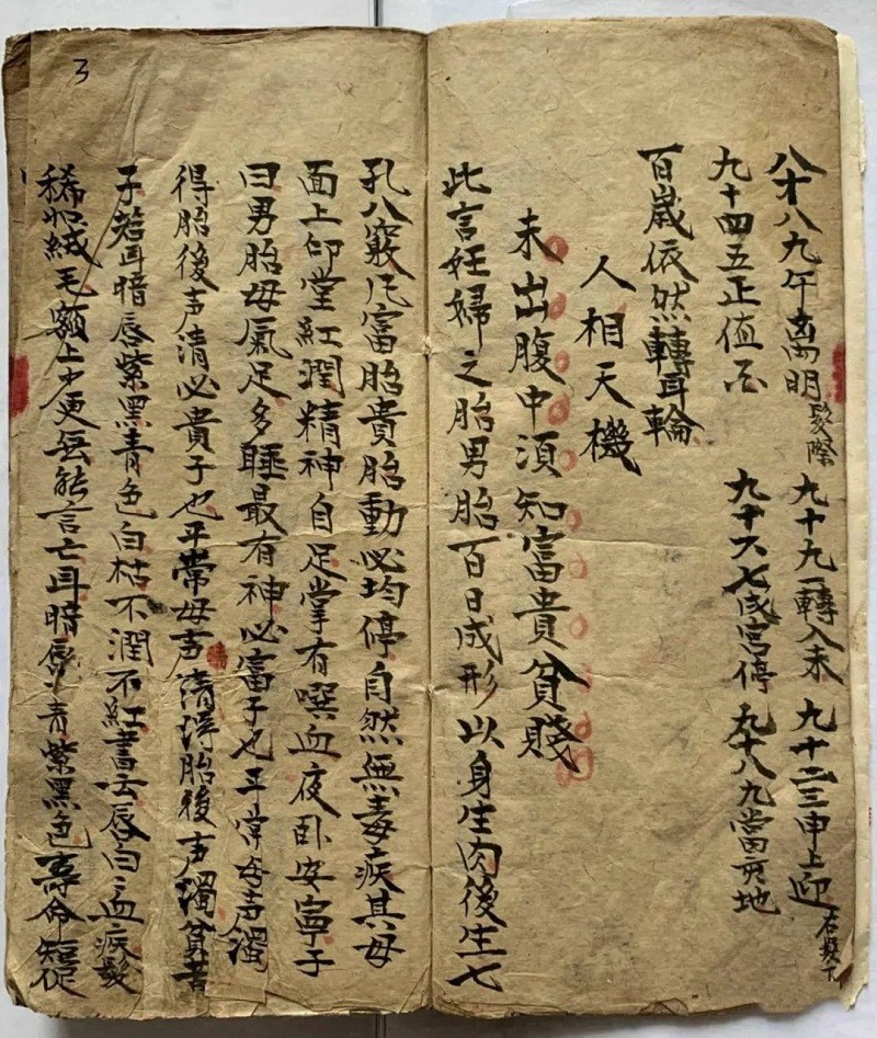 1725587186986600.jpg