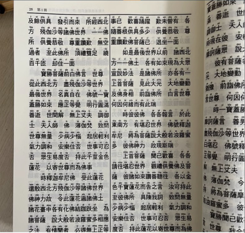 1750731856155257.jpg